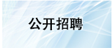 公开招聘